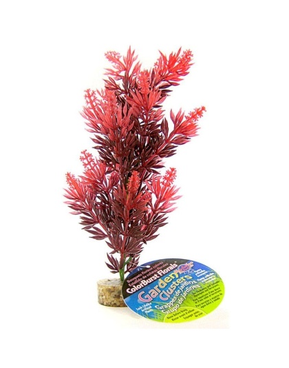 Blue Ribbon Bush Plant with Gravel Base - Red - 8" Tall