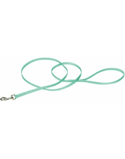 Coastal Pet Single-ply Nylon Dog Leash Teal - 4'L x 3/8"W