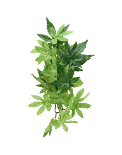 Exo-Terra Silk Abuliton Forest Plant - Small