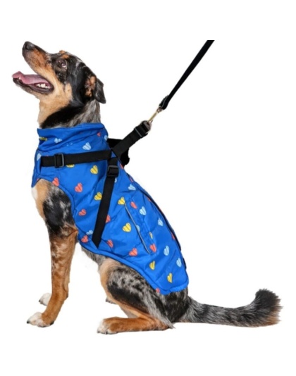 Fashion Pet Puffy Heart Harness Coat Blue - Large