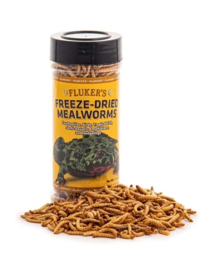 Flukers Freeze-Dried Mealworms - 1.7 oz