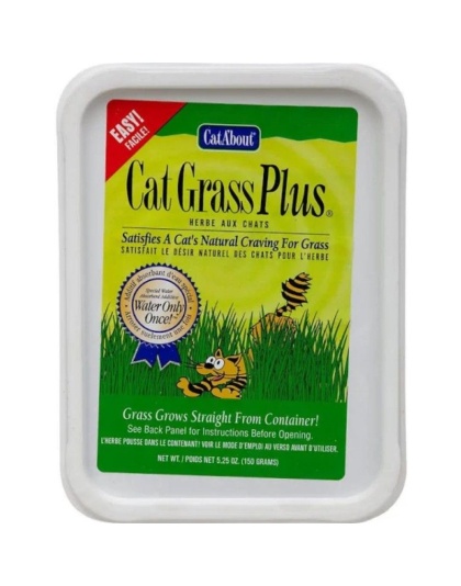 Gimborn Cat-A'bout Cat Grass Plus Multi-Cat - 1 count