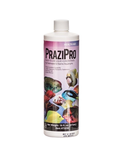 Hikari Aquarium Solutions PraziPro - 16 oz