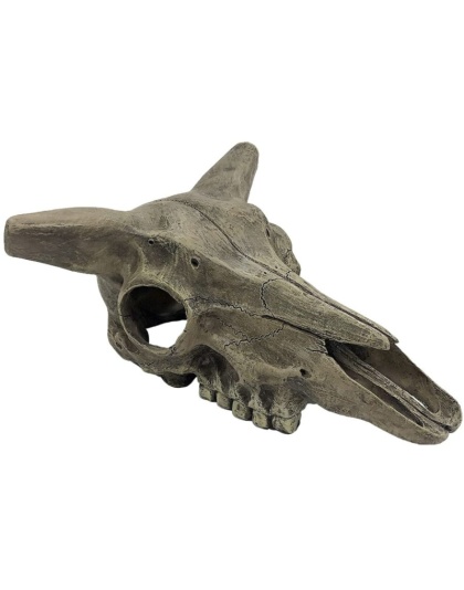 Komodo Deer Skull Terrarium Decoration - 1 count