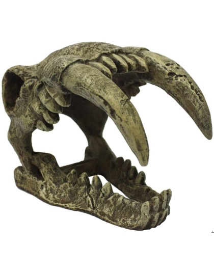 Komodo Saber Tooth Skull Terrarium Decoration - Large - 1 count
