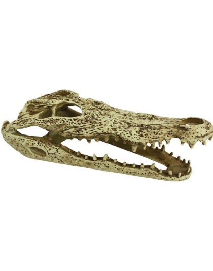 Komodo Alligator Skull Terrarium Decoration - 1 count