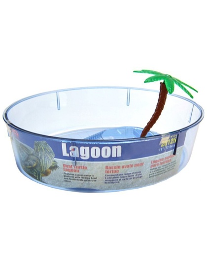 Lees Turtle Lagoon - Assorted Shapes - Oval Shaped - 11"L x 8"W x 3"H