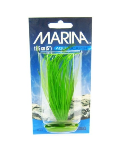 Marina Hairgrass Plant - 5" Tall