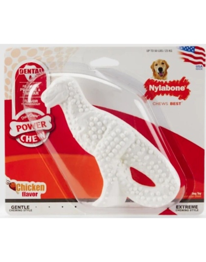 Nylabone Dinosaur Dental Dog Chew Chicken Flavor - 1 count