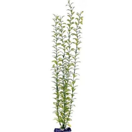 Penn Plax Sinkers Blooming Ludwigia Aquarium Plant Green - 13" tall