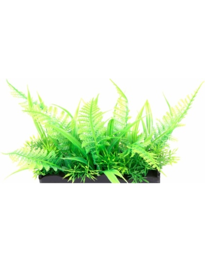 Penn Plax Ostrich Fern Bunch Plant 2" - 1 count