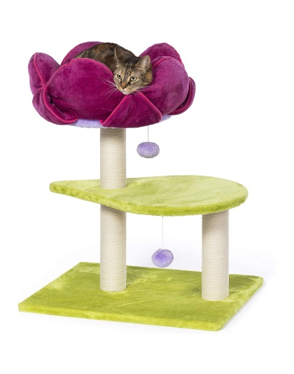 Prevue Pet Products Flower Power